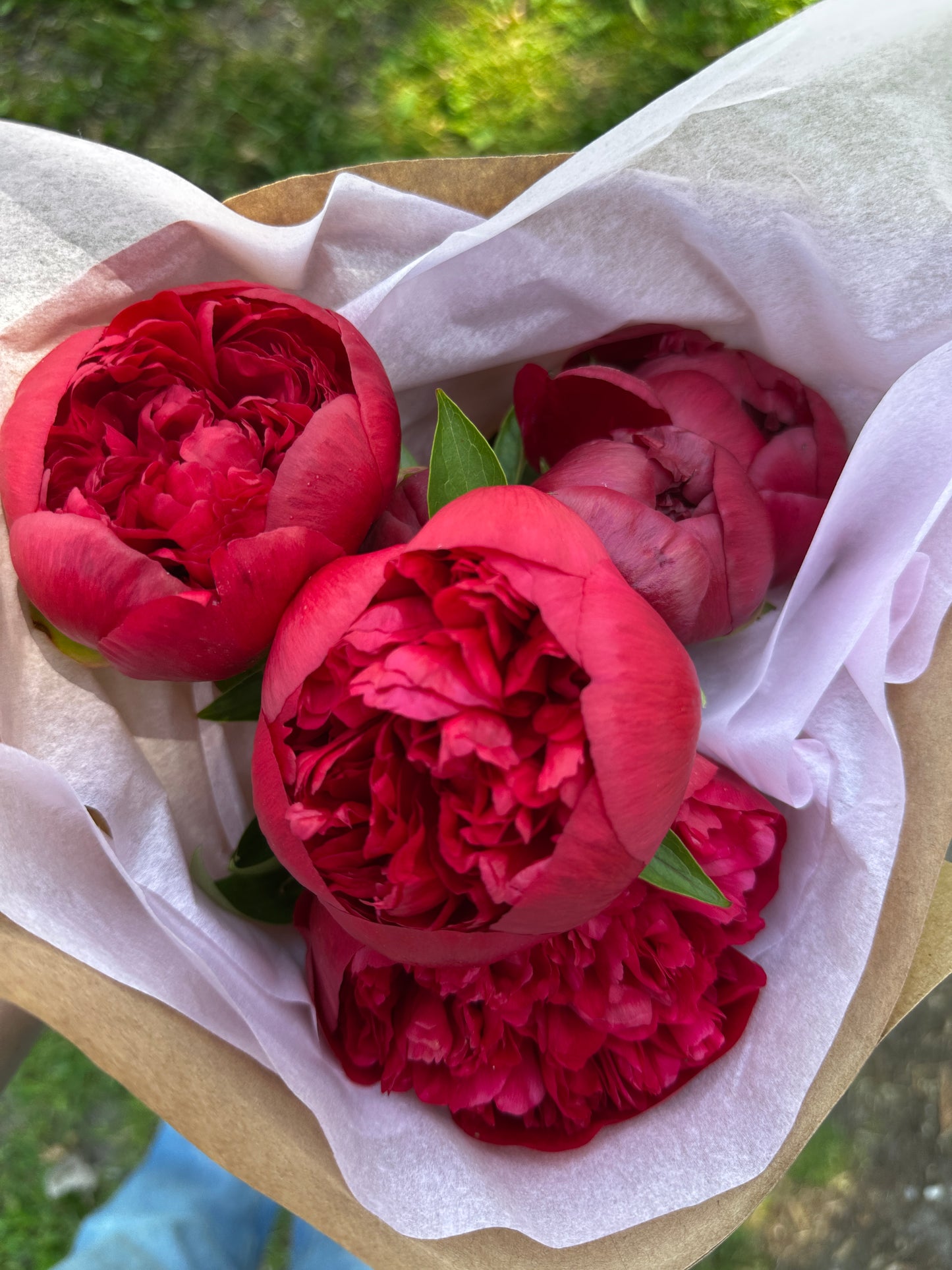 Peony Bouquet