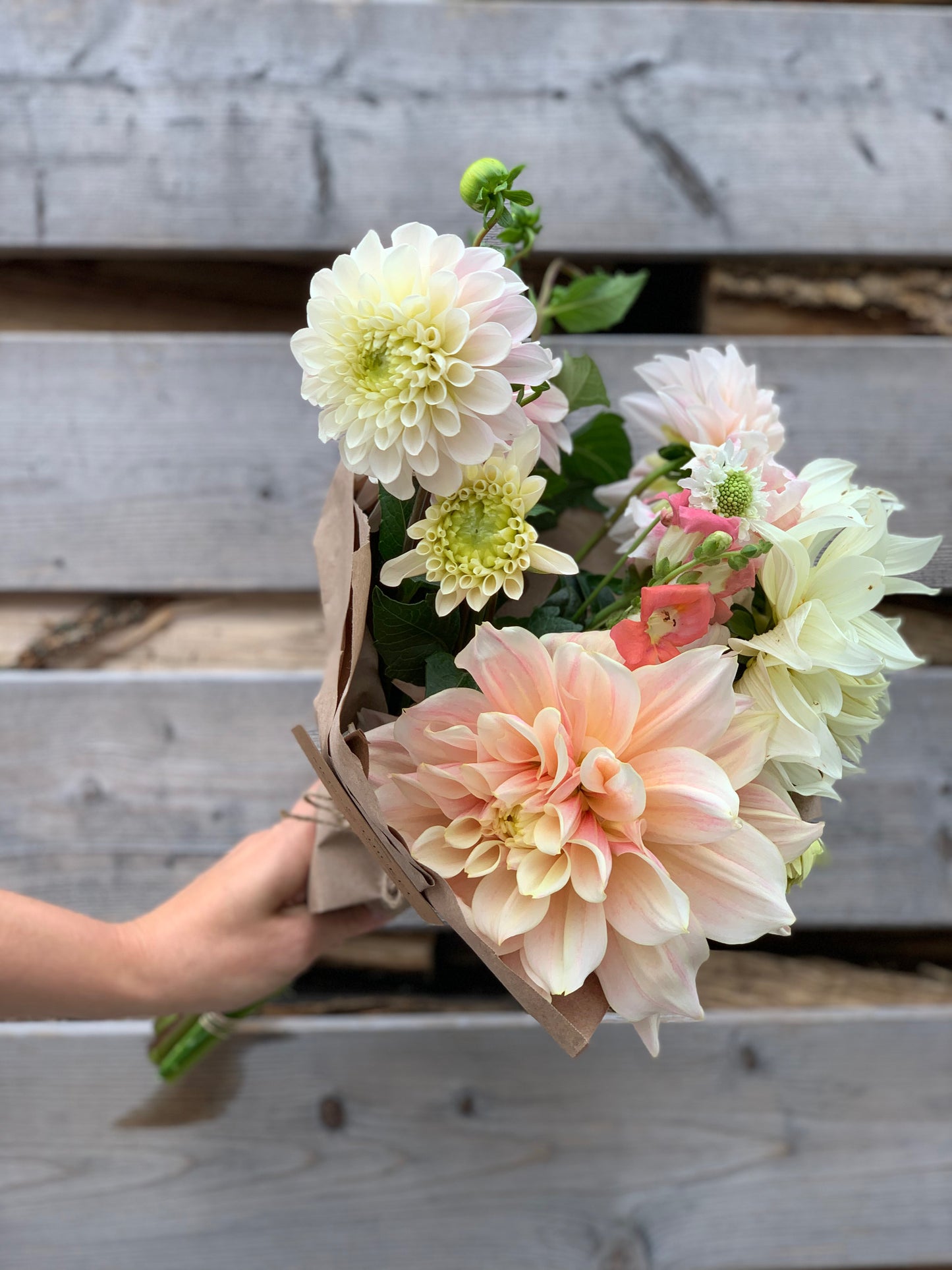 Medium Hand-Tied Bouquet