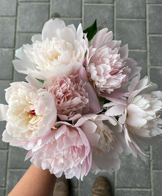 Peony Bouquet
