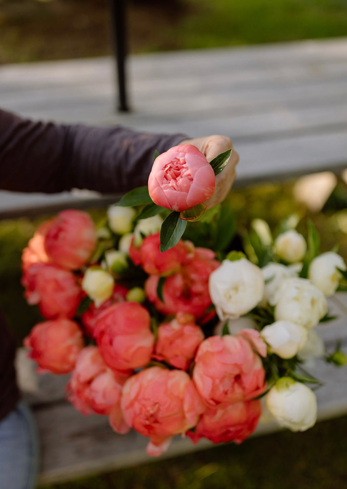 Peony Bouquet